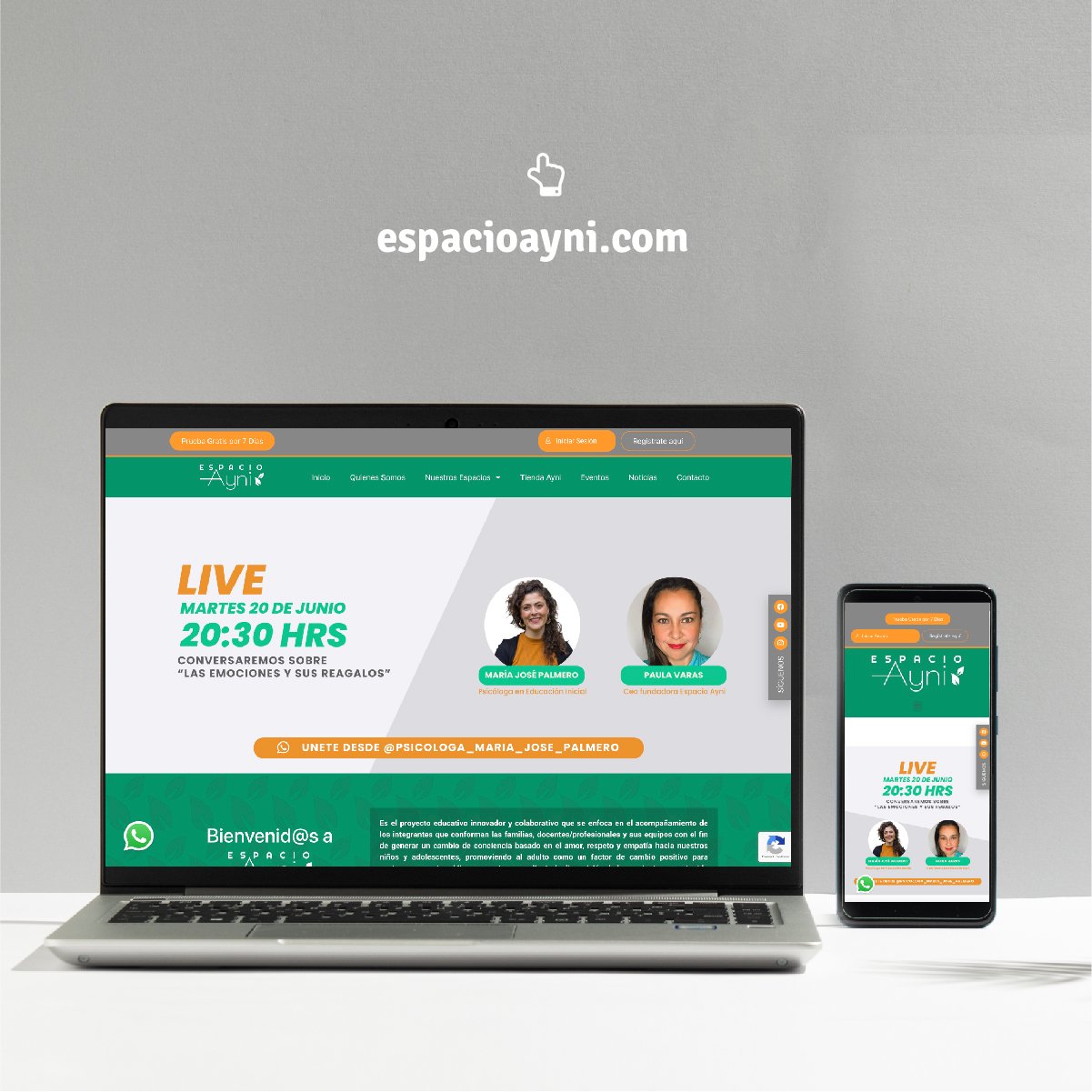 SITIO WEB_Mesa de trabajo 1 copia 3