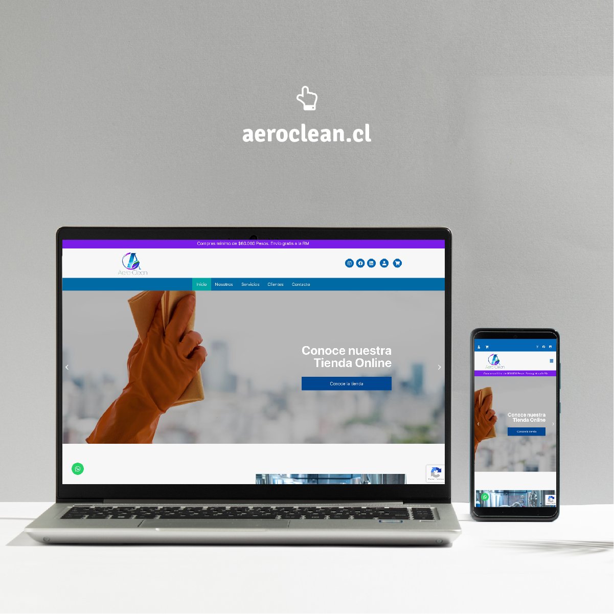 SITIO WEB_Mesa de trabajo 1 copia 7