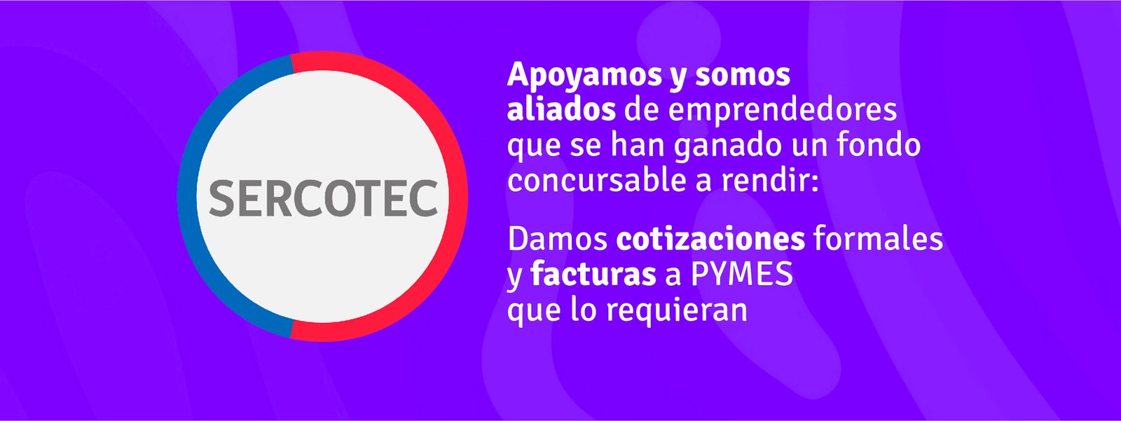 BANNERS_SITIO_Mesa de trabajo 1 copia